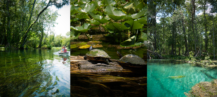 Silver Springs State Park